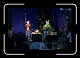 HWF145_Halcyon