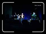 HWF152_Halcyon