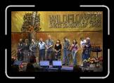 WF089_Songwriter_Contestents