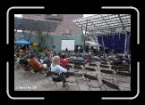 HWF_066_Crowd