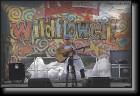 WF270_Shawn_Colvin